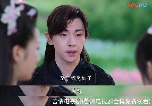 苦情电视剧(苦情电视剧全集免费观看)