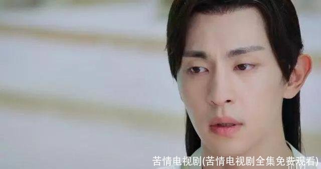 苦情电视剧(苦情电视剧全集免费观看)