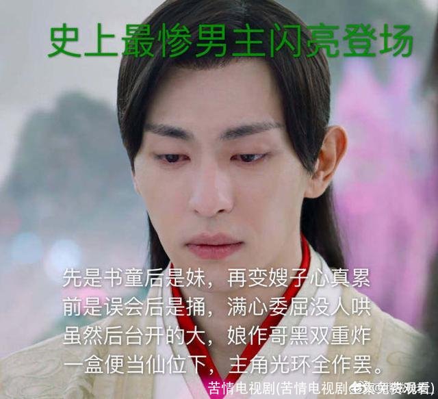 苦情电视剧(苦情电视剧全集免费观看)