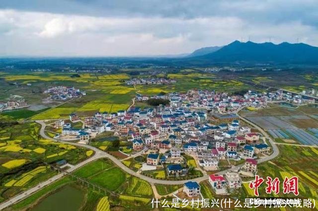 什么是乡村振兴(什么是乡村振兴战略)