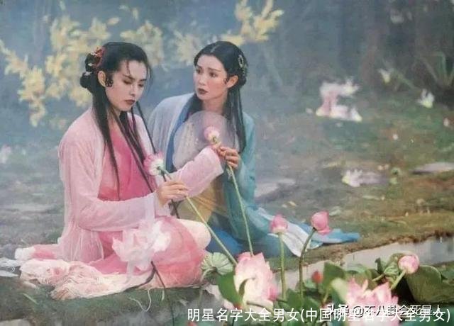 明星名字大全男女(中国明星名字大全男女)