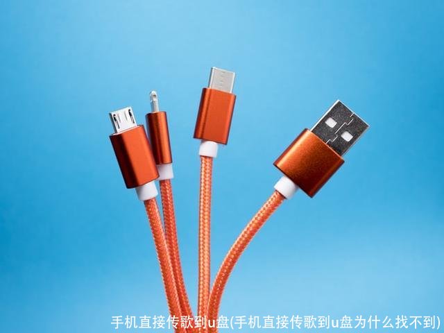 手机直接传歌到u盘(手机直接传歌到u盘为什么找不到)