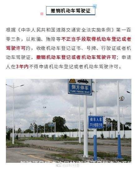 驾驶证吊销查询网站(驾驶证吊销查询系统)