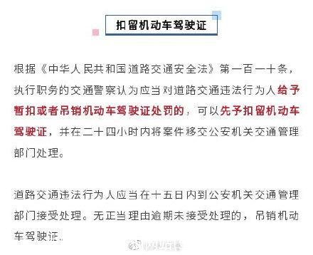 驾驶证吊销查询网站(驾驶证吊销查询系统)