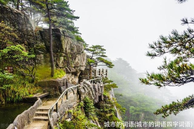城市的词语(城市的词语四字词语)