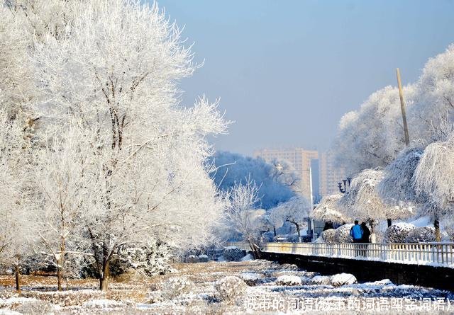 城市的词语(城市的词语四字词语)