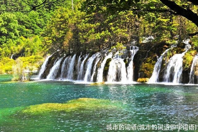 城市的词语(城市的词语四字词语)