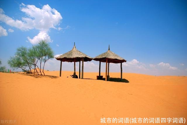 城市的词语(城市的词语四字词语)