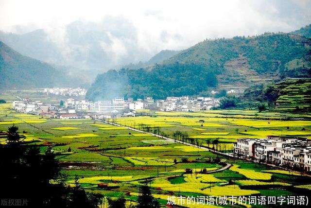 城市的词语(城市的词语四字词语)