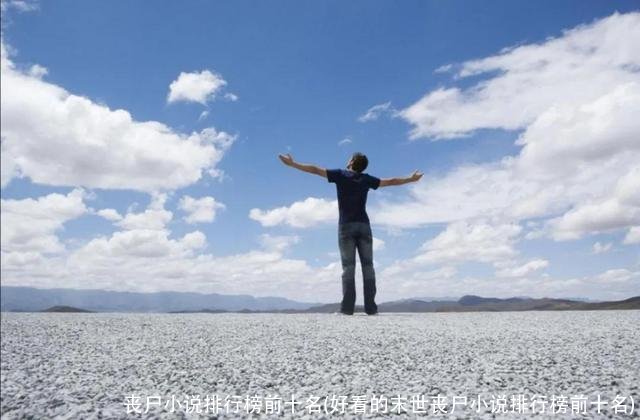 丧尸小说排行榜前十名(好看的末世丧尸小说排行榜前十名)