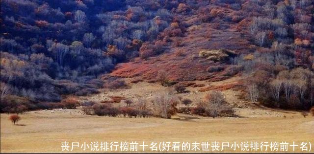 丧尸小说排行榜前十名(好看的末世丧尸小说排行榜前十名)