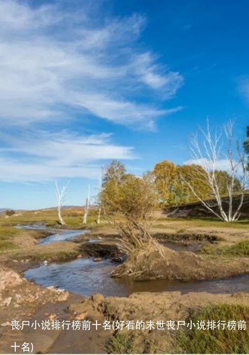 丧尸小说排行榜前十名(好看的末世丧尸小说排行榜前十名)