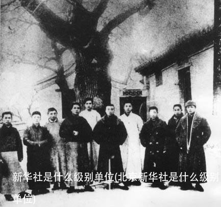 新华社是什么级别单位(北京新华社是什么级别单位)