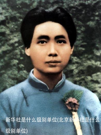 新华社是什么级别单位(北京新华社是什么级别单位)