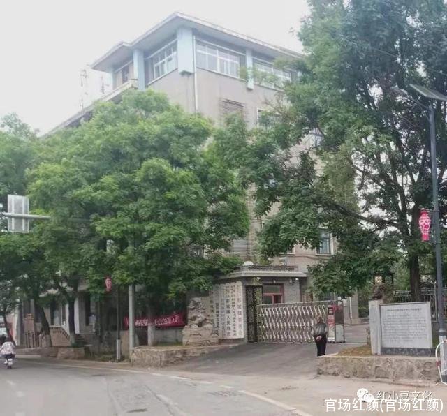 官场红颜(官场红颜)