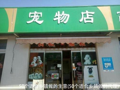 50个适合乡镇做的生意(50个适合乡镇做的代理)