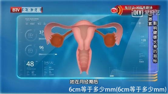 6cm等于多少mm(6cm等于多少mm)