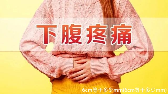 6cm等于多少mm(6cm等于多少mm)
