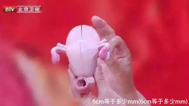 6cm等于多少mm(6cm等于多少mm)