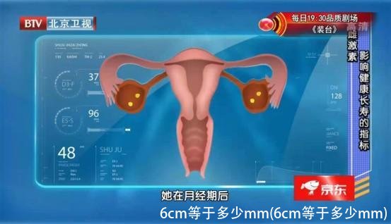 6cm等于多少mm(6cm等于多少mm)