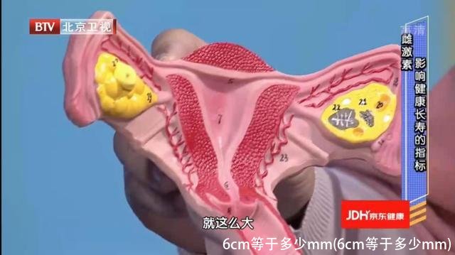 6cm等于多少mm(6cm等于多少mm)