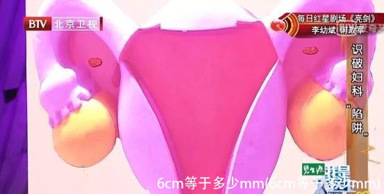 6cm等于多少mm(6cm等于多少mm)