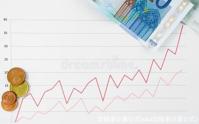 动销率计算公式(sku动销率计算公式)