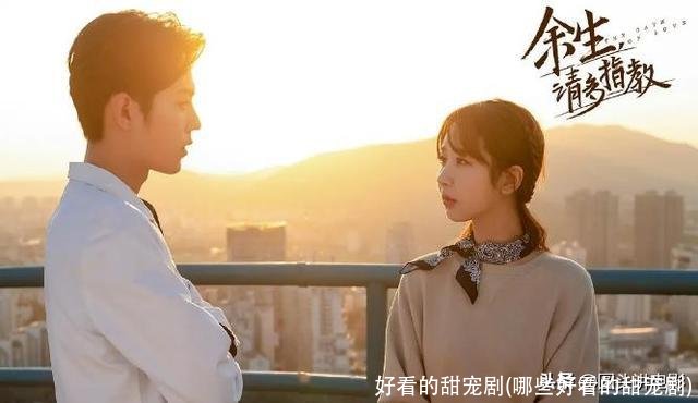 好看的甜宠剧(哪些好看的甜宠剧)