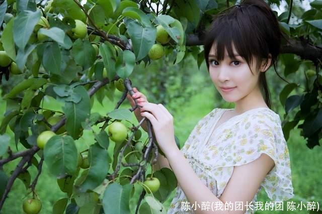 陈小醉(我的团长我的团 陈小醉)