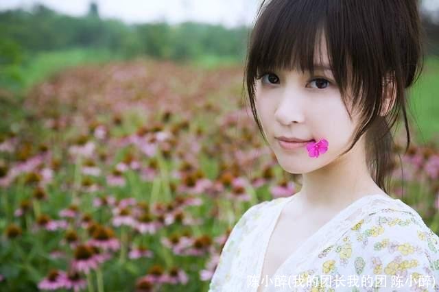 陈小醉(我的团长我的团 陈小醉)