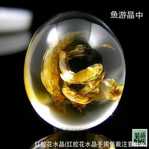 红胶花水晶(红胶花水晶手镯佩戴注意什么)