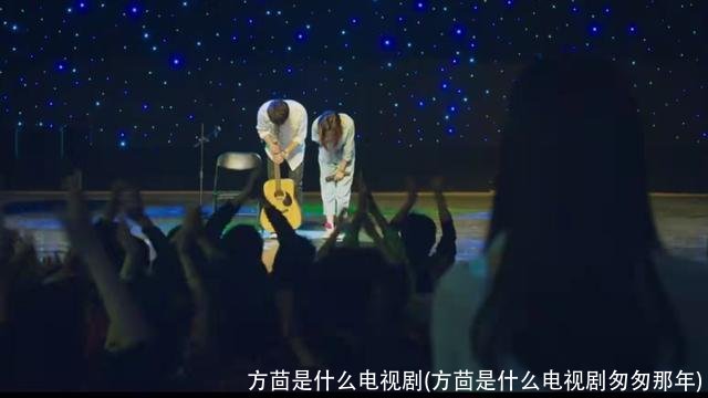 方茴是什么电视剧(方茴是什么电视剧匆匆那年)