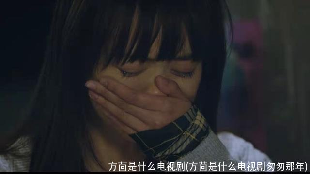 方茴是什么电视剧(方茴是什么电视剧匆匆那年)