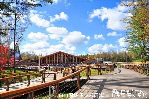 长白山海拔多少米高(长白山多高 海拔多少)