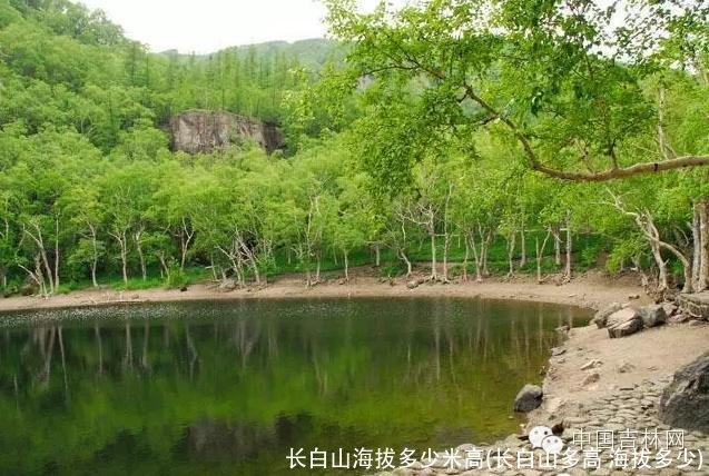 长白山海拔多少米高(长白山多高 海拔多少)