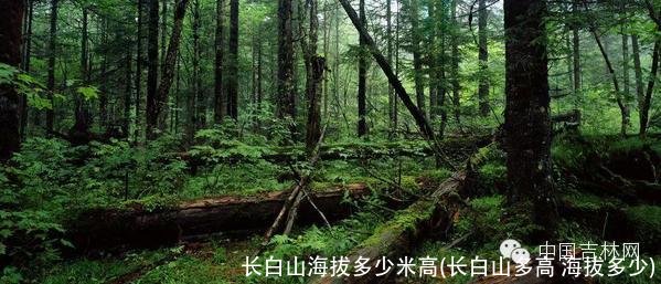 长白山海拔多少米高(长白山多高 海拔多少)