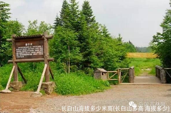 长白山海拔多少米高(长白山多高 海拔多少)