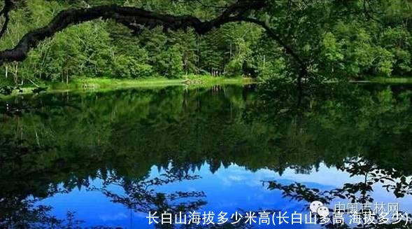 长白山海拔多少米高(长白山多高 海拔多少)