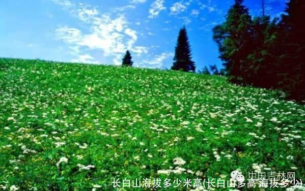 长白山海拔多少米高(长白山多高 海拔多少)