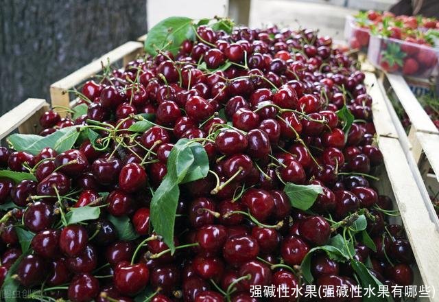 强碱性水果(强碱性水果有哪些)