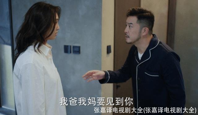 张嘉译电视剧大全(张嘉译电视剧大全)