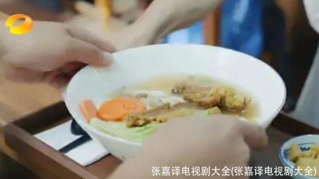 张嘉译电视剧大全(张嘉译电视剧大全)