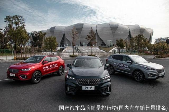 国产汽车品牌销量排行榜(国内汽车销售量排名)