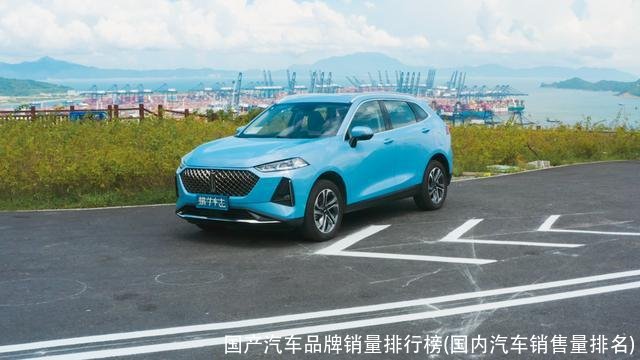 国产汽车品牌销量排行榜(国内汽车销售量排名)