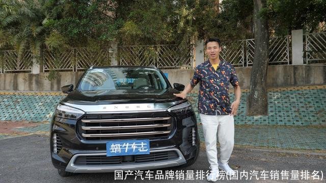 国产汽车品牌销量排行榜(国内汽车销售量排名)