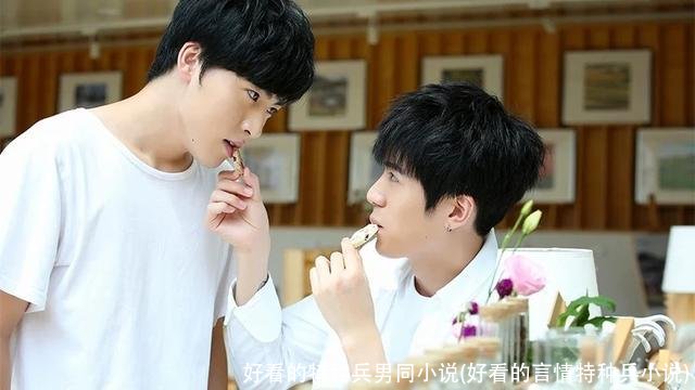 好看的特种兵男同小说(好看的言情特种兵小说)