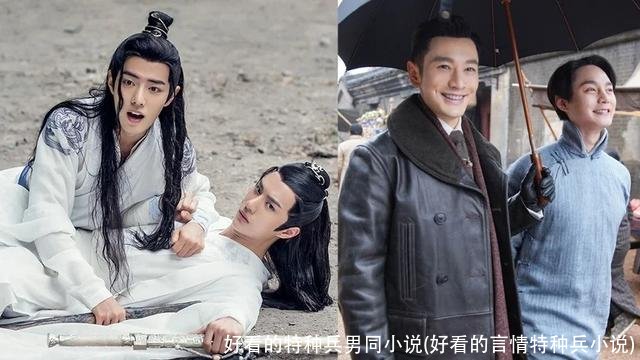 好看的特种兵男同小说(好看的言情特种兵小说)