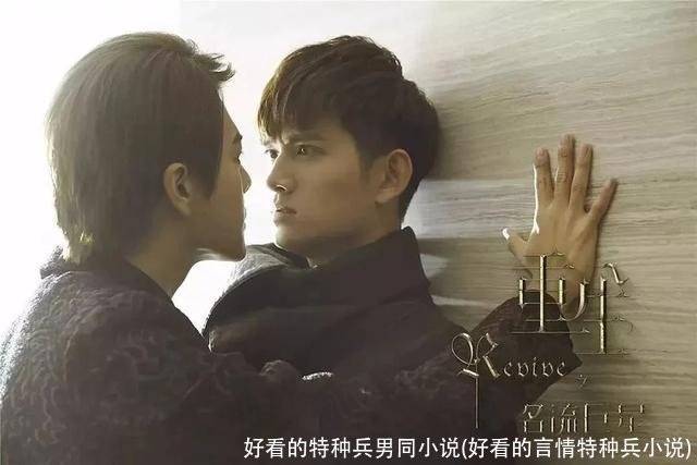 好看的特种兵男同小说(好看的言情特种兵小说)