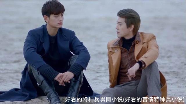 好看的特种兵男同小说(好看的言情特种兵小说)