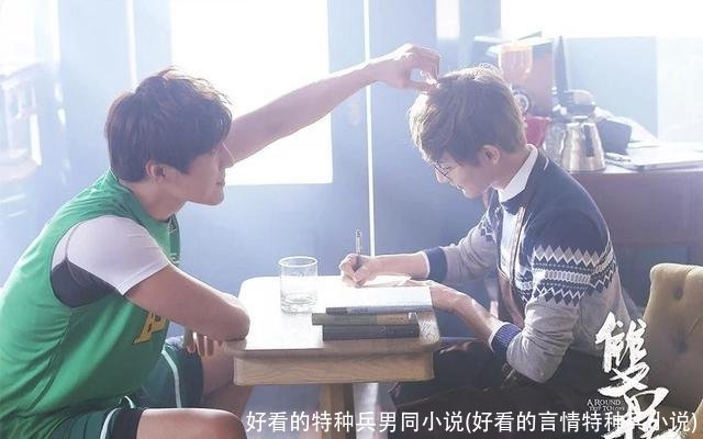 好看的特种兵男同小说(好看的言情特种兵小说)